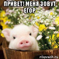 привет! меня зовут егор 