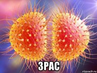  3pac