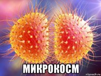  микрокосм
