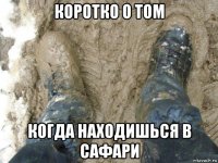 коротко о том когда находишься в сафари