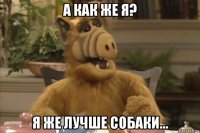 а как же я? я же лучше собаки...