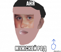 аня мужской род