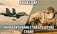 авиаудар ликвидирована стая бродячих собак