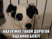  нахуя мне такой дорогой ошейник бля?!