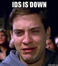 ids is down 