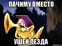 пачиму вместо ушей пезда