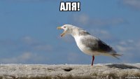 аля! 