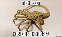 привееет хочешь яичко?!?