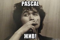 pascal жив!