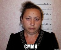  смми
