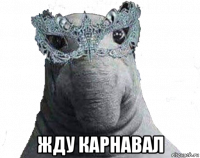 жду карнавал