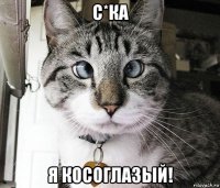 с*ка я косоглазый!