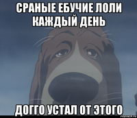 сраные ебучие лоли каждый день догго устал от этого