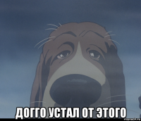  догго устал от этого