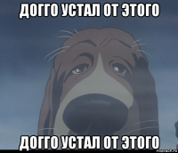 догго устал от этого догго устал от этого