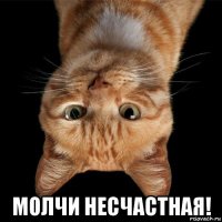  молчи несчастная!