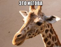 это иегова 
