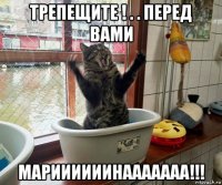 трепещите ! . . перед вами мариииииинааааааа!!!