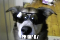  рикарду