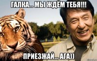 галка... мы ждём тебя!!! приезжай... ага))