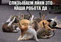 слизываем яйки это наша робота да 