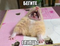 бегите глупцы