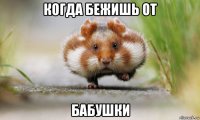 когда бежишь от бабушки