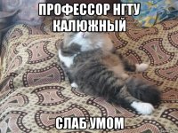профессор нгту калюжный слаб умом