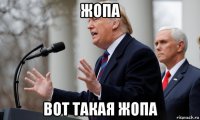 жопа вот такая жопа