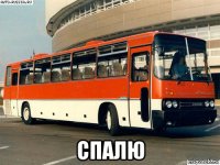  спалю