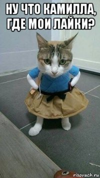 ну что камилла, где мои лайки? 
