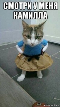 смотри у меня камилла 