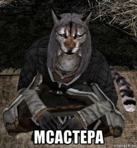  мсастера