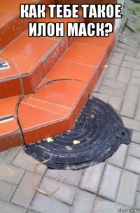 как тебе такое илон маск? 