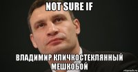 not sure if владимир кличкостеклянный мешкобой