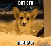 вот это поворот