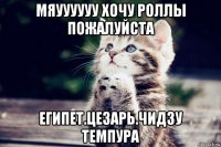 мяуууууу хочу роллы пожалуйста египет.цезарь.чидзу темпура
