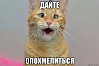 дайте опохмелиться
