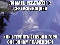 ломать себе мозг с сертификацией или отгулять отпуск и гори оно синим пламенем?)