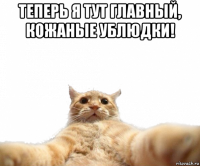 теперь я тут главный, кожаные ублюдки! 