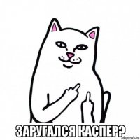  заругался каспер?