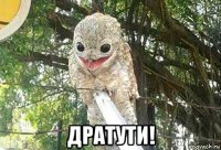  дратути!