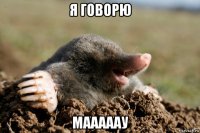 я говорю мааааау