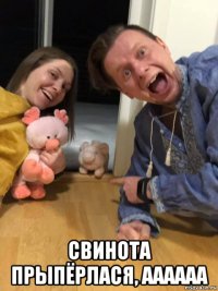  свинота прыпёрлася, аааааа
