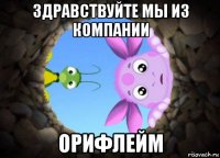 здравствуйте мы из компании орифлейм