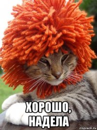  хорошо, надела