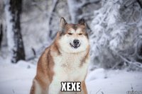  хехе