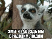  змег и радоздь мы бридозим людям
