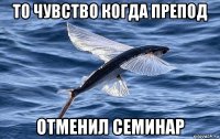 то чувство когда препод отменил семинар