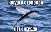 когда в столовой нет очереди